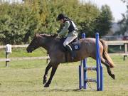 Image 171 in SOUTH NORFOLK PONY CLUB. ODE. 16 SEPT. 2018 THE GALLERY COMPRISES SHOW JUMPING, 60 70 AND 80, FOLLOWED BY 90 AND 100 IN THE CROSS COUNTRY PHASE.  GALLERY COMPLETE.