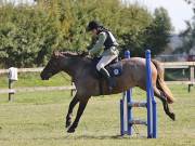 Image 171 in SOUTH NORFOLK PONY CLUB. ODE. 16 SEPT. 2018 THE GALLERY COMPRISES SHOW JUMPING, 60 70 AND 80, FOLLOWED BY 90 AND 100 IN THE CROSS COUNTRY PHASE. GALLERY COMPLETE.