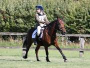 Image 177 in SOUTH NORFOLK PONY CLUB. ODE. 16 SEPT. 2018 THE GALLERY COMPRISES SHOW JUMPING, 60 70 AND 80, FOLLOWED BY 90 AND 100 IN THE CROSS COUNTRY PHASE.  GALLERY COMPLETE.