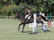 Image 185 in SOUTH NORFOLK PONY CLUB. ODE. 16 SEPT. 2018 THE GALLERY COMPRISES SHOW JUMPING, 60 70 AND 80, FOLLOWED BY 90 AND 100 IN THE CROSS COUNTRY PHASE.  GALLERY COMPLETE.