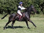 Image 196 in SOUTH NORFOLK PONY CLUB. ODE. 16 SEPT. 2018 THE GALLERY COMPRISES SHOW JUMPING, 60 70 AND 80, FOLLOWED BY 90 AND 100 IN THE CROSS COUNTRY PHASE.  GALLERY COMPLETE.