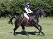 Image 198 in SOUTH NORFOLK PONY CLUB. ODE. 16 SEPT. 2018 THE GALLERY COMPRISES SHOW JUMPING, 60 70 AND 80, FOLLOWED BY 90 AND 100 IN THE CROSS COUNTRY PHASE.  GALLERY COMPLETE.