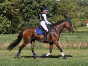 Image 210 in SOUTH NORFOLK PONY CLUB. ODE. 16 SEPT. 2018 THE GALLERY COMPRISES SHOW JUMPING, 60 70 AND 80, FOLLOWED BY 90 AND 100 IN THE CROSS COUNTRY PHASE.  GALLERY COMPLETE.