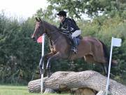 Image 238 in SOUTH NORFOLK PONY CLUB. ODE. 16 SEPT. 2018 THE GALLERY COMPRISES SHOW JUMPING, 60 70 AND 80, FOLLOWED BY 90 AND 100 IN THE CROSS COUNTRY PHASE.  GALLERY COMPLETE.