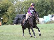 Image 280 in SOUTH NORFOLK PONY CLUB. ODE. 16 SEPT. 2018 THE GALLERY COMPRISES SHOW JUMPING, 60 70 AND 80, FOLLOWED BY 90 AND 100 IN THE CROSS COUNTRY PHASE.  GALLERY COMPLETE.