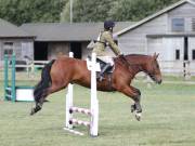 Image 34 in SOUTH NORFOLK PONY CLUB. ODE. 16 SEPT. 2018 THE GALLERY COMPRISES SHOW JUMPING, 60 70 AND 80, FOLLOWED BY 90 AND 100 IN THE CROSS COUNTRY PHASE.  GALLERY COMPLETE.