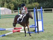 Image 44 in SOUTH NORFOLK PONY CLUB. ODE. 16 SEPT. 2018 THE GALLERY COMPRISES SHOW JUMPING, 60 70 AND 80, FOLLOWED BY 90 AND 100 IN THE CROSS COUNTRY PHASE.  GALLERY COMPLETE.