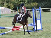 Image 44 in SOUTH NORFOLK PONY CLUB. ODE. 16 SEPT. 2018 THE GALLERY COMPRISES SHOW JUMPING, 60 70 AND 80, FOLLOWED BY 90 AND 100 IN THE CROSS COUNTRY PHASE. GALLERY COMPLETE.