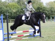 Image 51 in SOUTH NORFOLK PONY CLUB. ODE. 16 SEPT. 2018 THE GALLERY COMPRISES SHOW JUMPING, 60 70 AND 80, FOLLOWED BY 90 AND 100 IN THE CROSS COUNTRY PHASE. GALLERY COMPLETE.