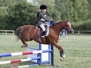 Image 69 in SOUTH NORFOLK PONY CLUB. ODE. 16 SEPT. 2018 THE GALLERY COMPRISES SHOW JUMPING, 60 70 AND 80, FOLLOWED BY 90 AND 100 IN THE CROSS COUNTRY PHASE.  GALLERY COMPLETE.