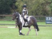 Image 103 in BECCLES AND BUNGAY RC. ODE. 23 SEPT. 2018. DUE TO PERSISTENT RAIN, HAVE ONLY MANAGED SHOW JUMPING PICTURES. GALLERY COMPLETE.