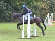 Image 104 in BECCLES AND BUNGAY RC. ODE. 23 SEPT. 2018. DUE TO PERSISTENT RAIN, HAVE ONLY MANAGED SHOW JUMPING PICTURES. GALLERY COMPLETE.