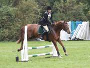 Image 106 in BECCLES AND BUNGAY RC. ODE. 23 SEPT. 2018. DUE TO PERSISTENT RAIN, HAVE ONLY MANAGED SHOW JUMPING PICTURES. GALLERY COMPLETE.