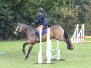 Image 124 in BECCLES AND BUNGAY RC. ODE. 23 SEPT. 2018. DUE TO PERSISTENT RAIN, HAVE ONLY MANAGED SHOW JUMPING PICTURES. GALLERY COMPLETE.