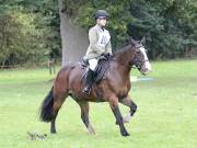 Image 137 in BECCLES AND BUNGAY RC. ODE. 23 SEPT. 2018. DUE TO PERSISTENT RAIN, HAVE ONLY MANAGED SHOW JUMPING PICTURES. GALLERY COMPLETE.