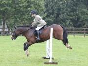 Image 141 in BECCLES AND BUNGAY RC. ODE. 23 SEPT. 2018. DUE TO PERSISTENT RAIN, HAVE ONLY MANAGED SHOW JUMPING PICTURES. GALLERY COMPLETE.