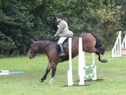 Image 143 in BECCLES AND BUNGAY RC. ODE. 23 SEPT. 2018. DUE TO PERSISTENT RAIN, HAVE ONLY MANAGED SHOW JUMPING PICTURES. GALLERY COMPLETE.