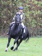 Image 145 in BECCLES AND BUNGAY RC. ODE. 23 SEPT. 2018. DUE TO PERSISTENT RAIN, HAVE ONLY MANAGED SHOW JUMPING PICTURES. GALLERY COMPLETE.