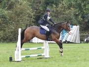 Image 161 in BECCLES AND BUNGAY RC. ODE. 23 SEPT. 2018. DUE TO PERSISTENT RAIN, HAVE ONLY MANAGED SHOW JUMPING PICTURES. GALLERY COMPLETE.