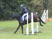 Image 17 in BECCLES AND BUNGAY RC. ODE. 23 SEPT. 2018. DUE TO PERSISTENT RAIN, HAVE ONLY MANAGED SHOW JUMPING PICTURES. GALLERY COMPLETE.