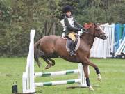 Image 23 in BECCLES AND BUNGAY RC. ODE. 23 SEPT. 2018. DUE TO PERSISTENT RAIN, HAVE ONLY MANAGED SHOW JUMPING PICTURES. GALLERY COMPLETE.