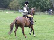 Image 30 in BECCLES AND BUNGAY RC. ODE. 23 SEPT. 2018. DUE TO PERSISTENT RAIN, HAVE ONLY MANAGED SHOW JUMPING PICTURES. GALLERY COMPLETE.