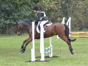 Image 32 in BECCLES AND BUNGAY RC. ODE. 23 SEPT. 2018. DUE TO PERSISTENT RAIN, HAVE ONLY MANAGED SHOW JUMPING PICTURES. GALLERY COMPLETE.