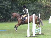 Image 35 in BECCLES AND BUNGAY RC. ODE. 23 SEPT. 2018. DUE TO PERSISTENT RAIN, HAVE ONLY MANAGED SHOW JUMPING PICTURES. GALLERY COMPLETE.