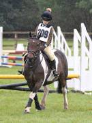 Image 40 in BECCLES AND BUNGAY RC. ODE. 23 SEPT. 2018. DUE TO PERSISTENT RAIN, HAVE ONLY MANAGED SHOW JUMPING PICTURES. GALLERY COMPLETE.