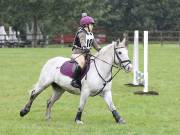 Image 41 in BECCLES AND BUNGAY RC. ODE. 23 SEPT. 2018. DUE TO PERSISTENT RAIN, HAVE ONLY MANAGED SHOW JUMPING PICTURES. GALLERY COMPLETE.