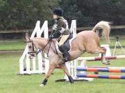 Image 7 in BECCLES AND BUNGAY RC. ODE. 23 SEPT. 2018. DUE TO PERSISTENT RAIN, HAVE ONLY MANAGED SHOW JUMPING PICTURES. GALLERY COMPLETE.