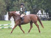 Image 79 in BECCLES AND BUNGAY RC. ODE. 23 SEPT. 2018. DUE TO PERSISTENT RAIN, HAVE ONLY MANAGED SHOW JUMPING PICTURES. GALLERY COMPLETE.