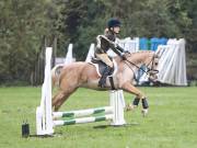 Image 8 in BECCLES AND BUNGAY RC. ODE. 23 SEPT. 2018. DUE TO PERSISTENT RAIN, HAVE ONLY MANAGED SHOW JUMPING PICTURES. GALLERY COMPLETE.