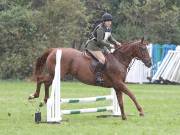 Image 80 in BECCLES AND BUNGAY RC. ODE. 23 SEPT. 2018. DUE TO PERSISTENT RAIN, HAVE ONLY MANAGED SHOW JUMPING PICTURES. GALLERY COMPLETE.