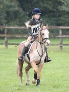 Image 9 in BECCLES AND BUNGAY RC. ODE. 23 SEPT. 2018. DUE TO PERSISTENT RAIN, HAVE ONLY MANAGED SHOW JUMPING PICTURES. GALLERY COMPLETE.