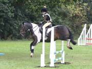 Image 90 in BECCLES AND BUNGAY RC. ODE. 23 SEPT. 2018. DUE TO PERSISTENT RAIN, HAVE ONLY MANAGED SHOW JUMPING PICTURES. GALLERY COMPLETE.