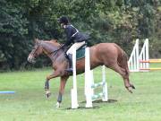 Image 96 in BECCLES AND BUNGAY RC. ODE. 23 SEPT. 2018. DUE TO PERSISTENT RAIN, HAVE ONLY MANAGED SHOW JUMPING PICTURES. GALLERY COMPLETE.