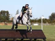 Image 109 in LITTLE DOWNHAM HORSE TRIALS. 29 SEPT 2018 GALLERY WILL BE COMPLETE EARLY MONDAY.