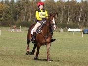 Image 114 in LITTLE DOWNHAM HORSE TRIALS. 29 SEPT 2018  GALLERY WILL BE COMPLETE EARLY MONDAY.