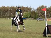 Image 115 in LITTLE DOWNHAM HORSE TRIALS. 29 SEPT 2018 GALLERY WILL BE COMPLETE EARLY MONDAY.