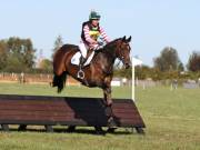 Image 125 in LITTLE DOWNHAM HORSE TRIALS. 29 SEPT 2018  GALLERY WILL BE COMPLETE EARLY MONDAY.