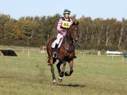 Image 127 in LITTLE DOWNHAM HORSE TRIALS. 29 SEPT 2018 GALLERY WILL BE COMPLETE EARLY MONDAY.
