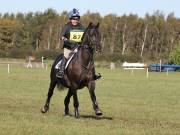 Image 133 in LITTLE DOWNHAM HORSE TRIALS. 29 SEPT 2018 GALLERY WILL BE COMPLETE EARLY MONDAY.