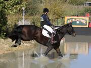 Image 134 in LITTLE DOWNHAM HORSE TRIALS. 29 SEPT 2018 GALLERY WILL BE COMPLETE EARLY MONDAY.