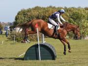 Image 155 in LITTLE DOWNHAM HORSE TRIALS. 29 SEPT 2018  GALLERY WILL BE COMPLETE EARLY MONDAY.