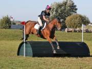 Image 171 in LITTLE DOWNHAM HORSE TRIALS. 29 SEPT 2018 GALLERY WILL BE COMPLETE EARLY MONDAY.