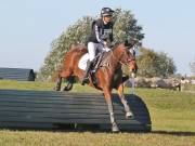 Image 187 in LITTLE DOWNHAM HORSE TRIALS. 29 SEPT 2018 GALLERY WILL BE COMPLETE EARLY MONDAY.