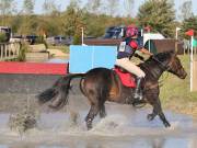 Image 188 in LITTLE DOWNHAM HORSE TRIALS. 29 SEPT 2018 GALLERY WILL BE COMPLETE EARLY MONDAY.