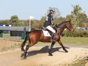 Image 190 in LITTLE DOWNHAM HORSE TRIALS. 29 SEPT 2018 GALLERY WILL BE COMPLETE EARLY MONDAY.