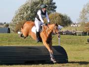 Image 206 in LITTLE DOWNHAM HORSE TRIALS. 29 SEPT 2018 GALLERY WILL BE COMPLETE EARLY MONDAY.